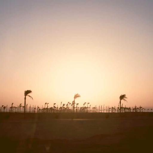 Dari Data ke Keputusan Kekuatan Analisis Digital