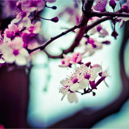 Jejak Sejarah di Balik Arsitektur Kota Tua Dunia